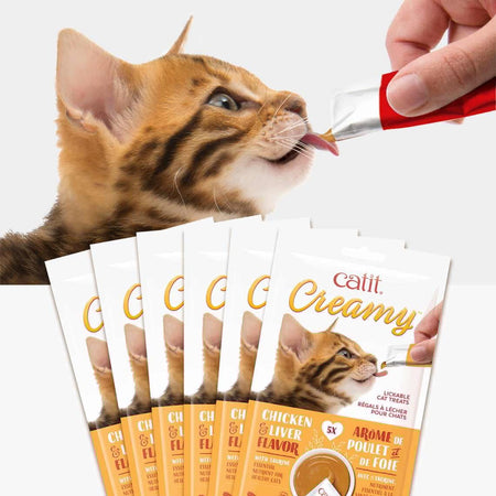 Cat Treats