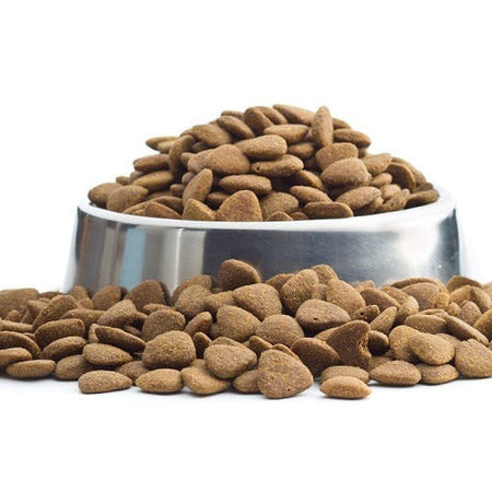 Dry Dog Food